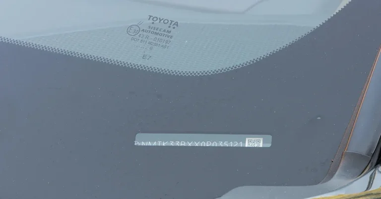 how to check car history with chassis number