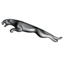 jaguar 7.57.46 AM